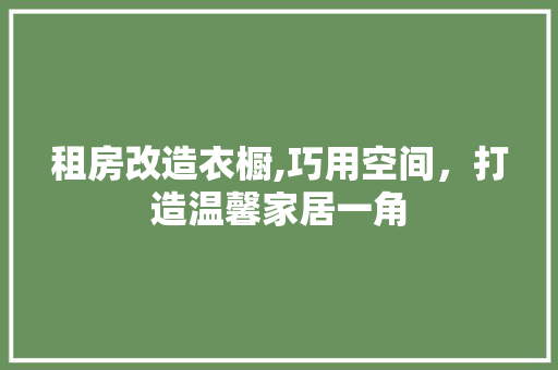 租房改造衣橱,巧用空间，打造温馨家居一角