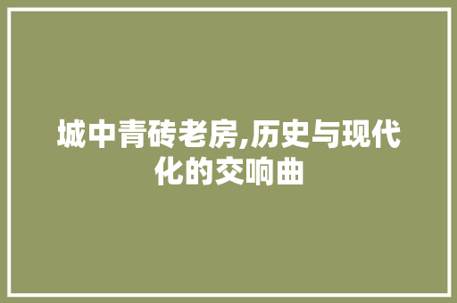 城中青砖老房,历史与现代化的交响曲