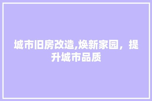 城市旧房改造,焕新家园，提升城市品质 景观设计