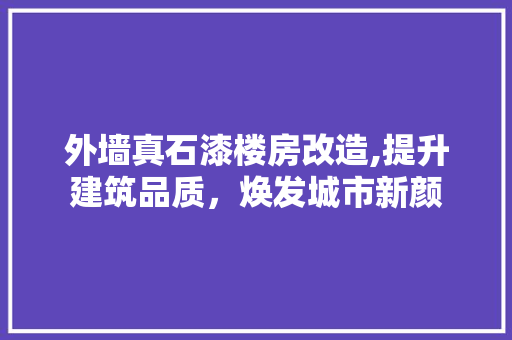 外墙真石漆楼房改造,提升建筑品质，焕发城市新颜