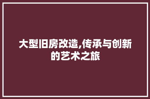 大型旧房改造,传承与创新的艺术之旅