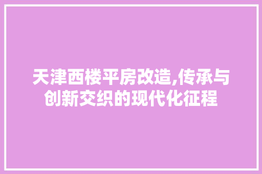 天津西楼平房改造,传承与创新交织的现代化征程