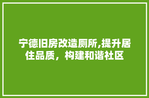 宁德旧房改造厕所,提升居住品质，构建和谐社区