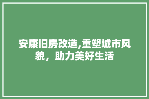 安康旧房改造,重塑城市风貌，助力美好生活 装修攻略