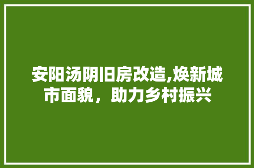 安阳汤阴旧房改造,焕新城市面貌，助力乡村振兴 庭院装修