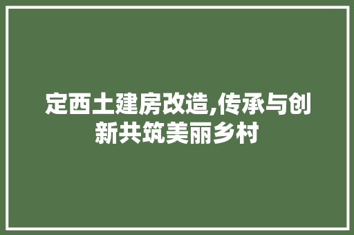定西土建房改造,传承与创新共筑美丽乡村 门窗装修