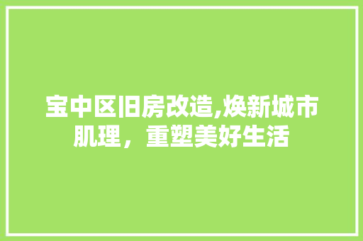 宝中区旧房改造,焕新城市肌理，重塑美好生活 墙面装饰