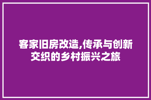 客家旧房改造,传承与创新交织的乡村振兴之旅 门窗装修