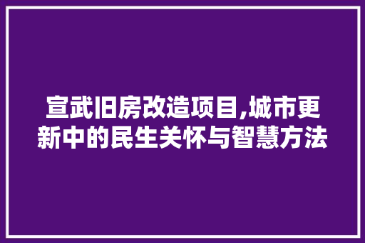 宣武旧房改造项目,城市更新中的民生关怀与智慧方法 景观设计