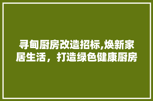 寻甸厨房改造招标,焕新家居生活，打造绿色健康厨房 景观设计
