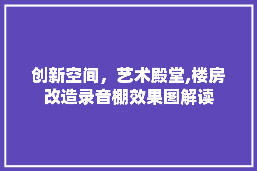 创新空间，艺术殿堂,楼房改造录音棚效果图解读 隔断设计