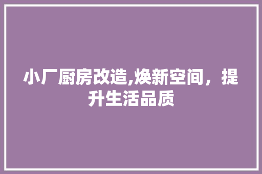 小厂厨房改造,焕新空间，提升生活品质 建筑设计