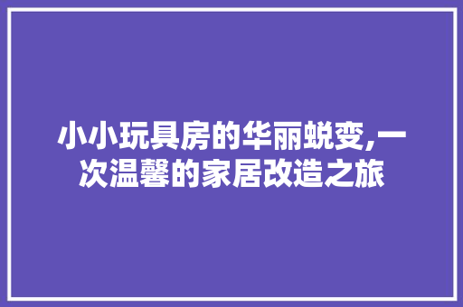 小小玩具房的华丽蜕变,一次温馨的家居改造之旅 景观设计