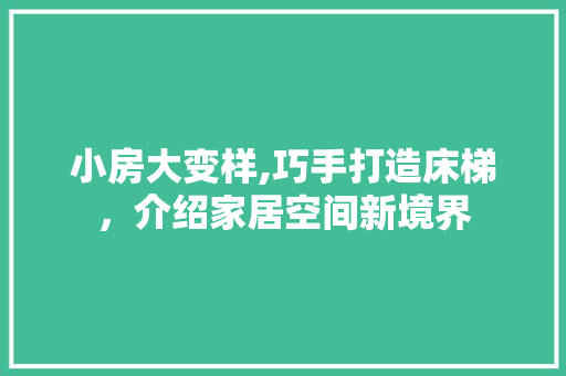 小房大变样,巧手打造床梯，介绍家居空间新境界 地面装修