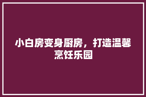 小白房变身厨房，打造温馨烹饪乐园