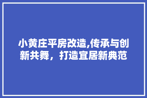 小黄庄平房改造,传承与创新共舞，打造宜居新典范