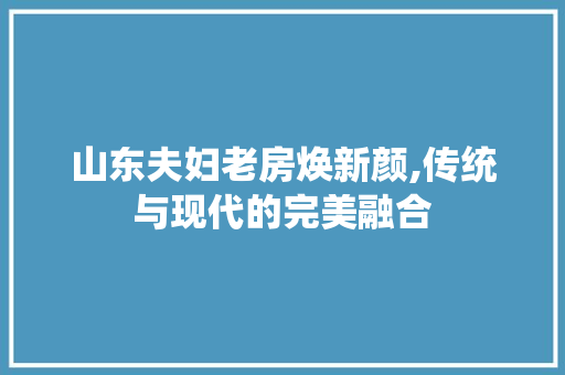 山东夫妇老房焕新颜,传统与现代的完美融合 隔断设计