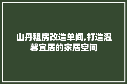 山丹租房改造单间,打造温馨宜居的家居空间 建筑设计