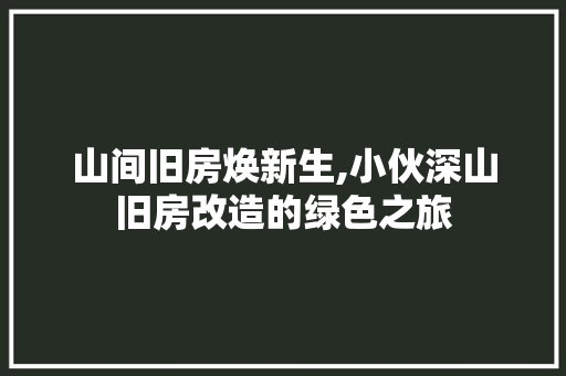 山间旧房焕新生,小伙深山旧房改造的绿色之旅