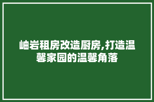 岫岩租房改造厨房,打造温馨家园的温馨角落 墙面装饰