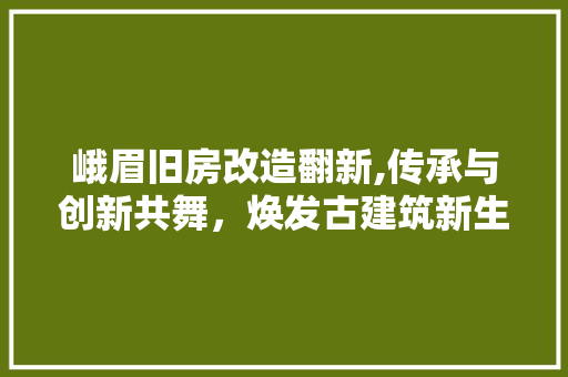 峨眉旧房改造翻新,传承与创新共舞,焕发古建筑新生命