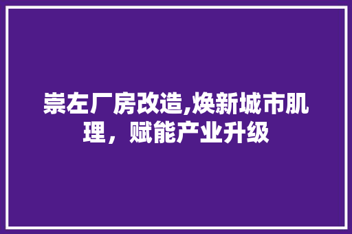 崇左厂房改造,焕新城市肌理，赋能产业升级 隔断设计