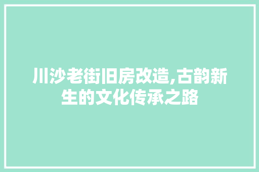 川沙老街旧房改造,古韵新生的文化传承之路 装修材料