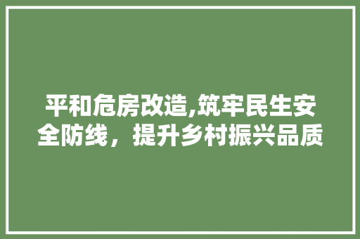平和危房改造,筑牢民生安全防线，提升乡村振兴品质 装修攻略