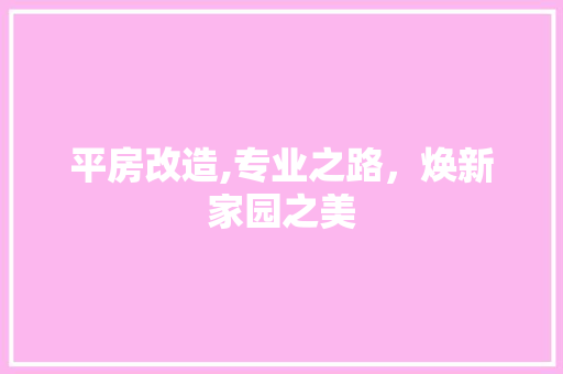 平房改造,专业之路，焕新家园之美 墙面装饰