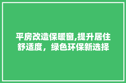 平房改造保暖窗,提升居住舒适度，绿色环保新选择 墙面装饰