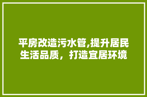 平房改造污水管,提升居民生活品质，打造宜居环境 庭院装修