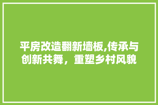 平房改造翻新墙板,传承与创新共舞，重塑乡村风貌