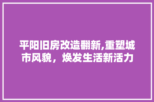 平阳旧房改造翻新,重塑城市风貌，焕发生活新活力 门窗装修