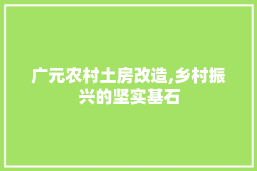 广元农村土房改造,乡村振兴的坚实基石