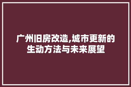 广州旧房改造,城市更新的生动方法与未来展望 建筑设计
