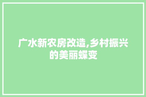 广水新农房改造,乡村振兴的美丽蝶变 地面装修