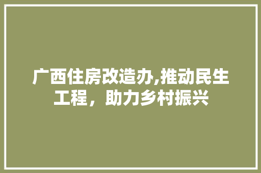 广西住房改造办,推动民生工程,助力乡村振兴 建筑设计 广西住房改造办,推动民生工程,助力乡村振兴 建筑设计