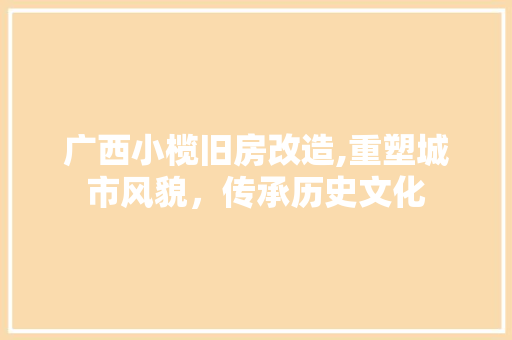 广西小榄旧房改造,重塑城市风貌，传承历史文化