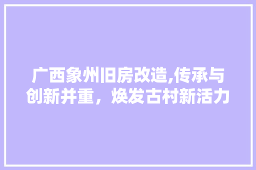 广西象州旧房改造,传承与创新并重，焕发古村新活力 门窗装修
