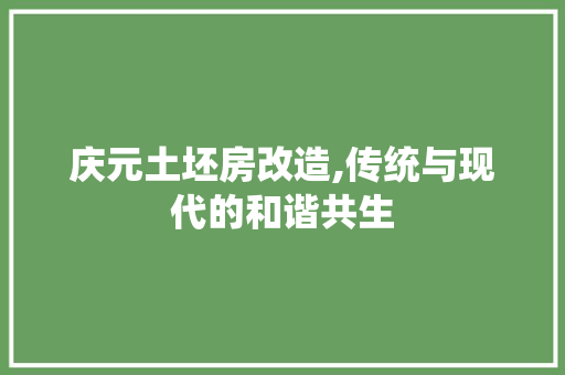 庆元土坯房改造,传统与现代的和谐共生