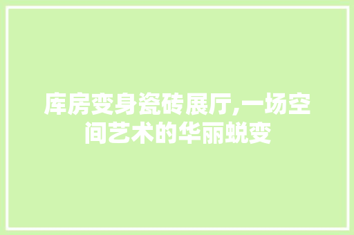 库房变身瓷砖展厅,一场空间艺术的华丽蜕变 墙面装饰