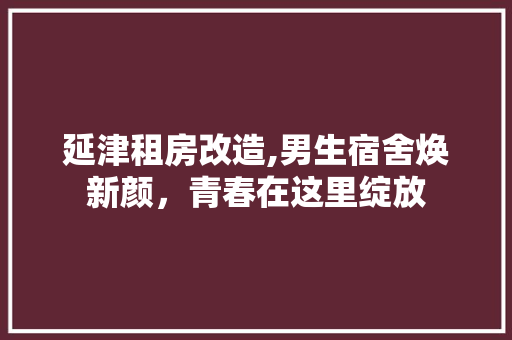 延津租房改造,男生宿舍焕新颜，青春在这里绽放 墙面装饰