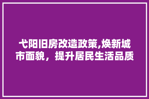 弋阳旧房改造政策,焕新城市面貌，提升居民生活品质 庭院装修