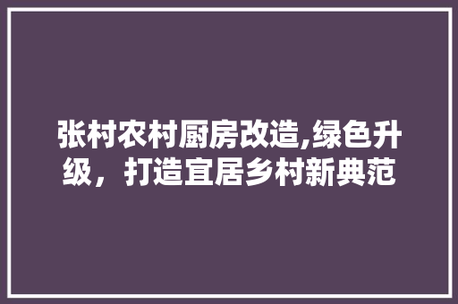 张村农村厨房改造,绿色升级，打造宜居乡村新典范 地面装修