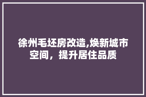 徐州毛坯房改造,焕新城市空间，提升居住品质
