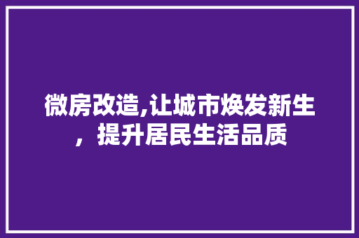 微房改造,让城市焕发新生，提升居民生活品质