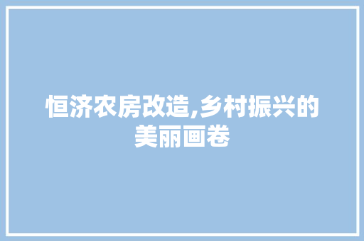 恒济农房改造,乡村振兴的美丽画卷 装修材料