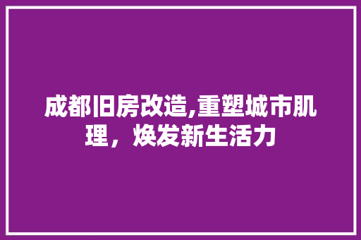 成都旧房改造,重塑城市肌理，焕发新生活力