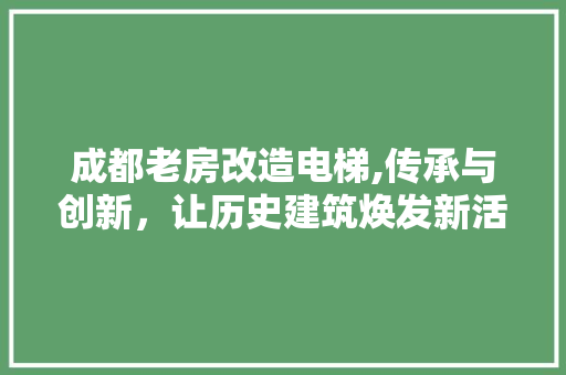 成都老房改造电梯,传承与创新，让历史建筑焕发新活力