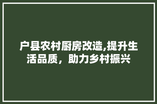 户县农村厨房改造,提升生活品质，助力乡村振兴 门窗装修